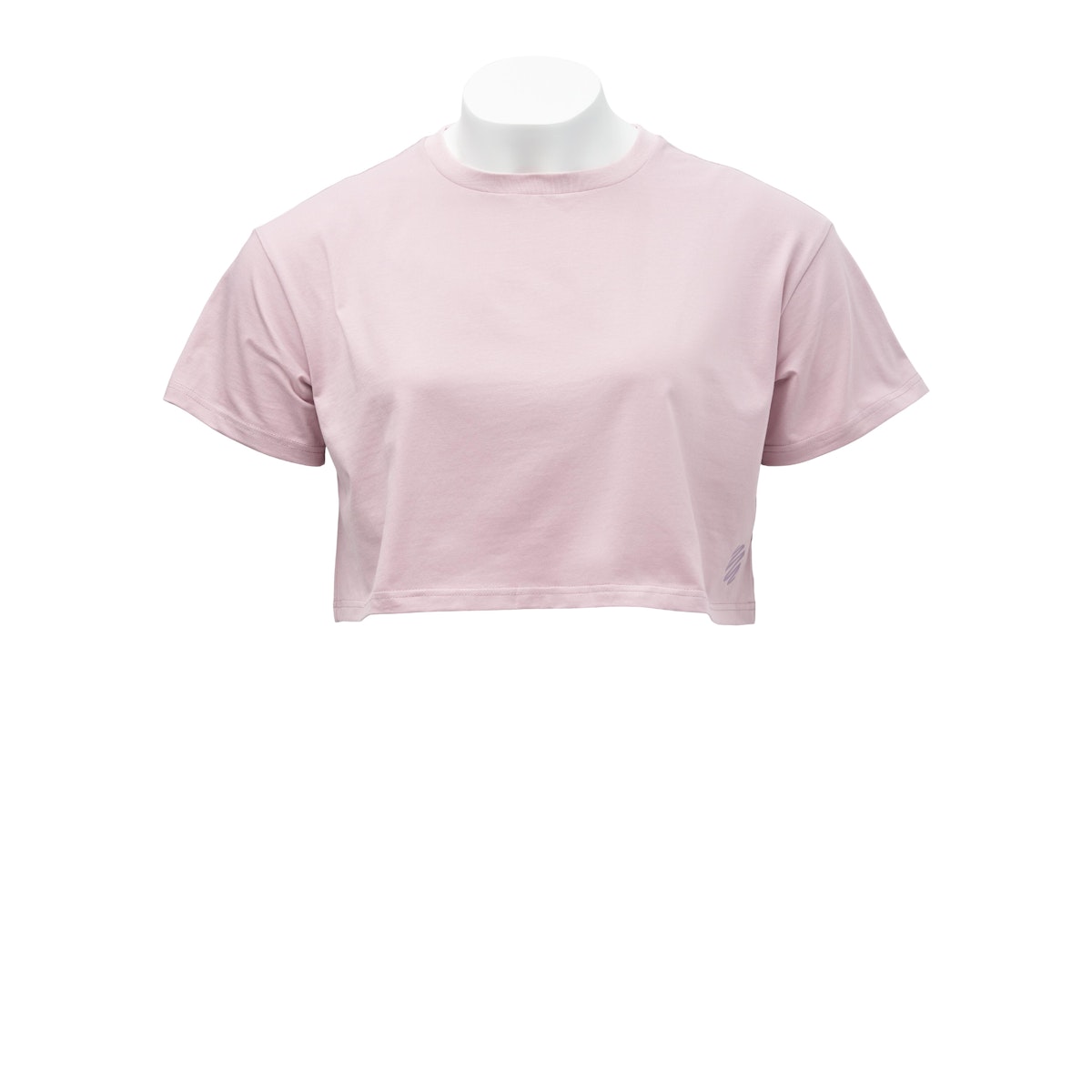 BlenderBottle Cropped T-Shirt D82Y